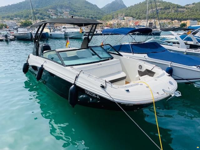 Sea Ray SDX 250