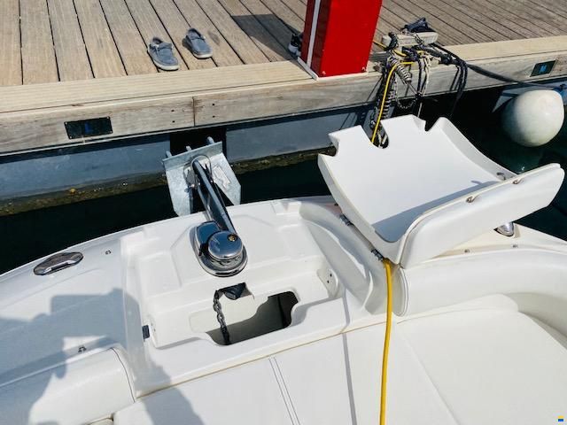 Sea Ray SDX 250