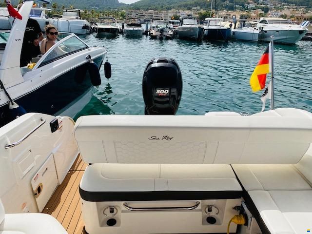 Sea Ray SDX 250