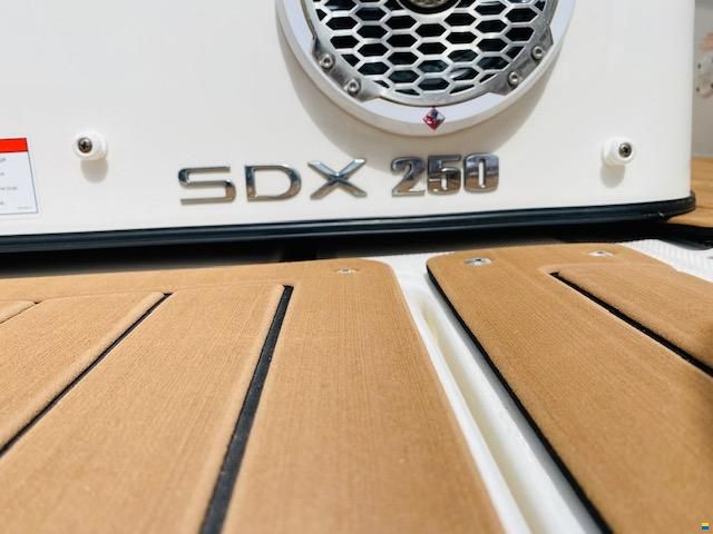 Sea Ray SDX 250