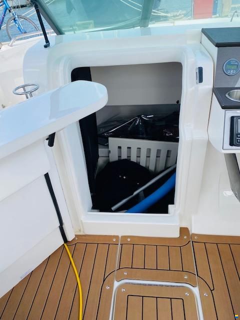Sea Ray SDX 250