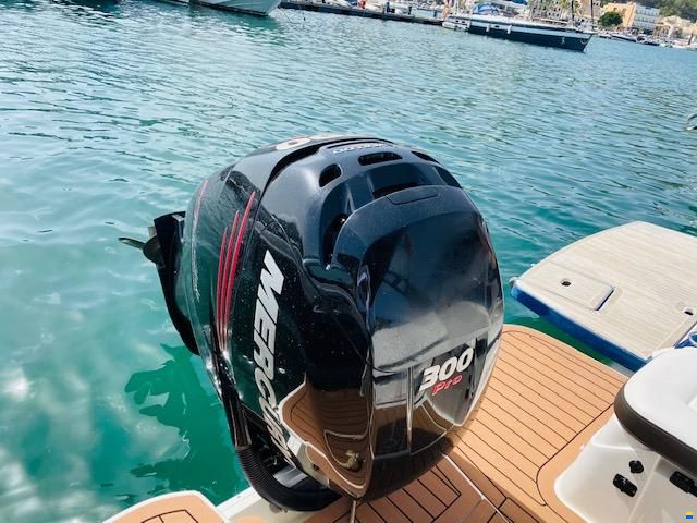 Sea Ray SDX 250