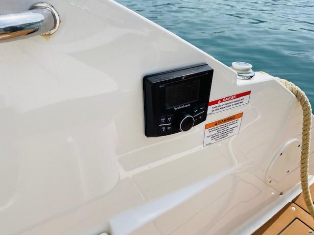 Sea Ray SDX 250