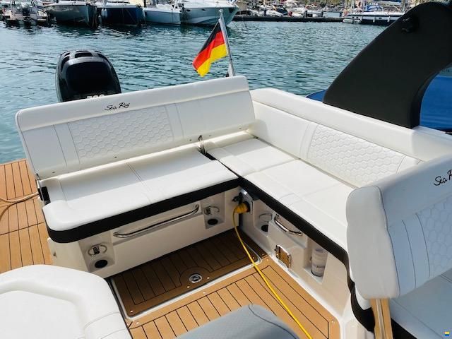 Sea Ray SDX 250