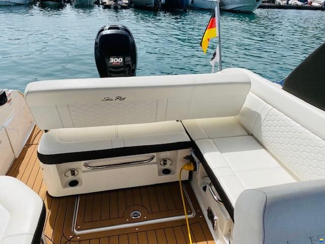 Sea Ray SDX 250
