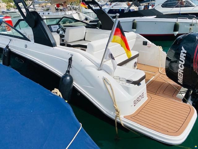 Sea Ray SDX 250