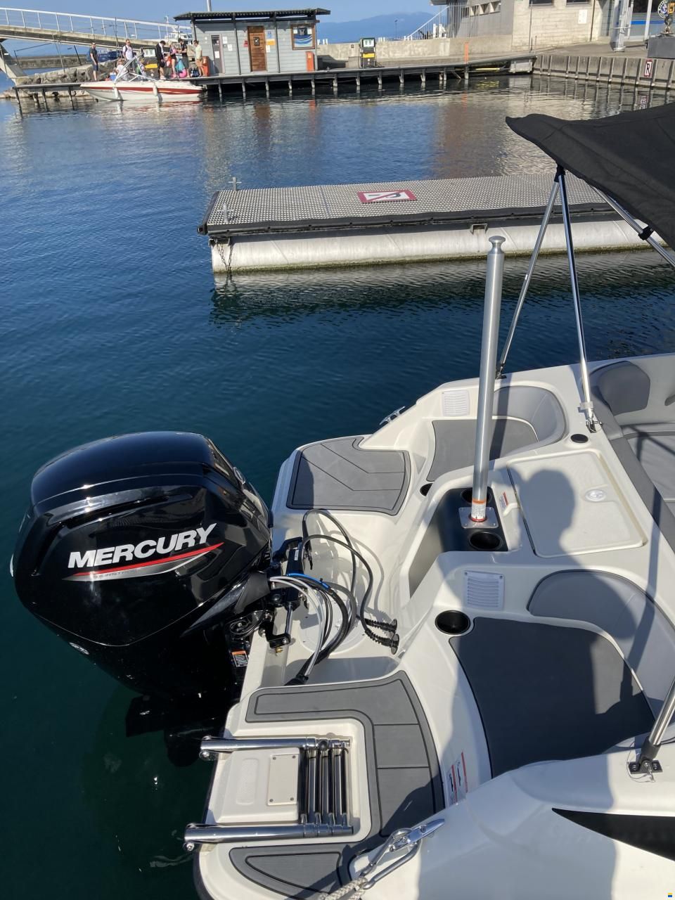 Bayliner M17