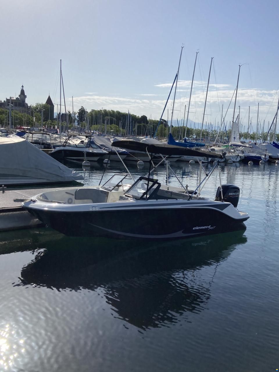 Bayliner M17