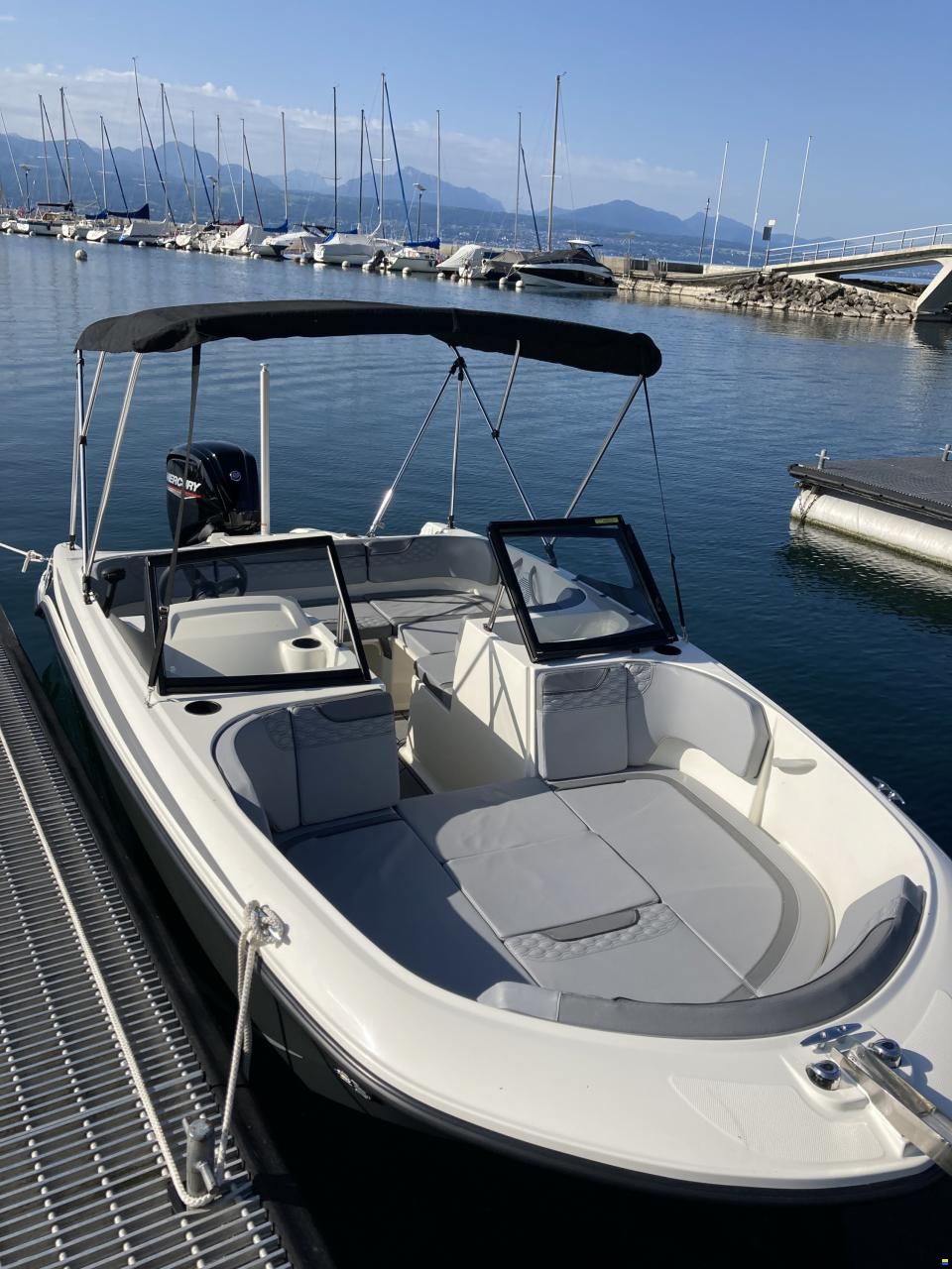 Bayliner M17