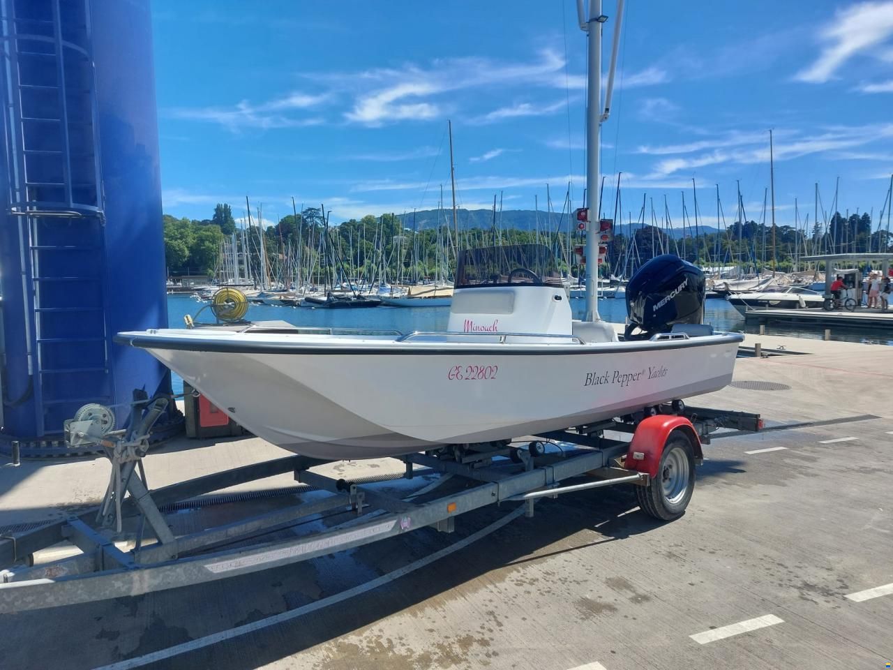 Black Pepper Tender 17