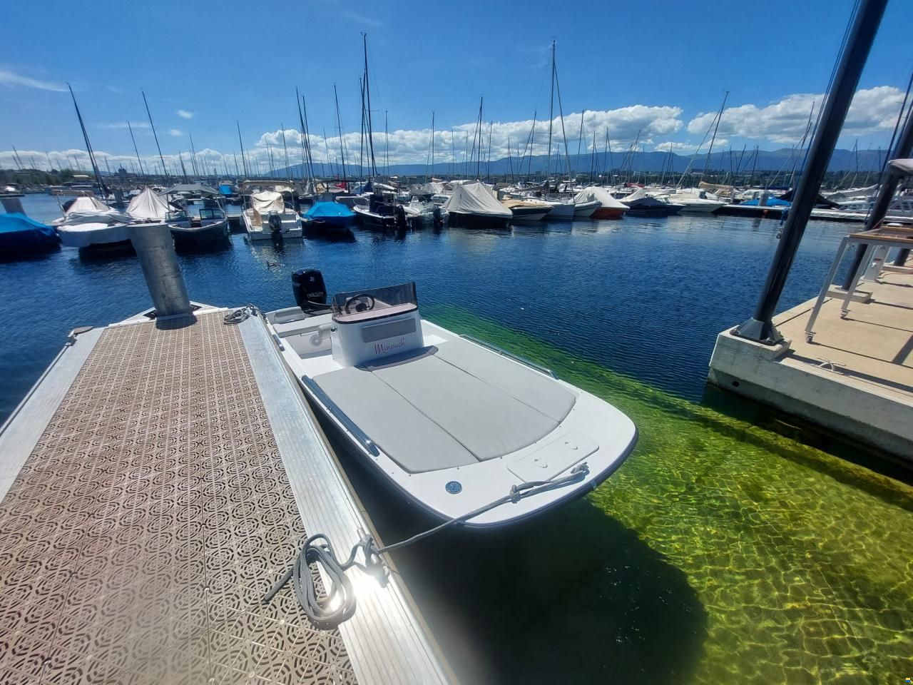 Black Pepper Tender 17