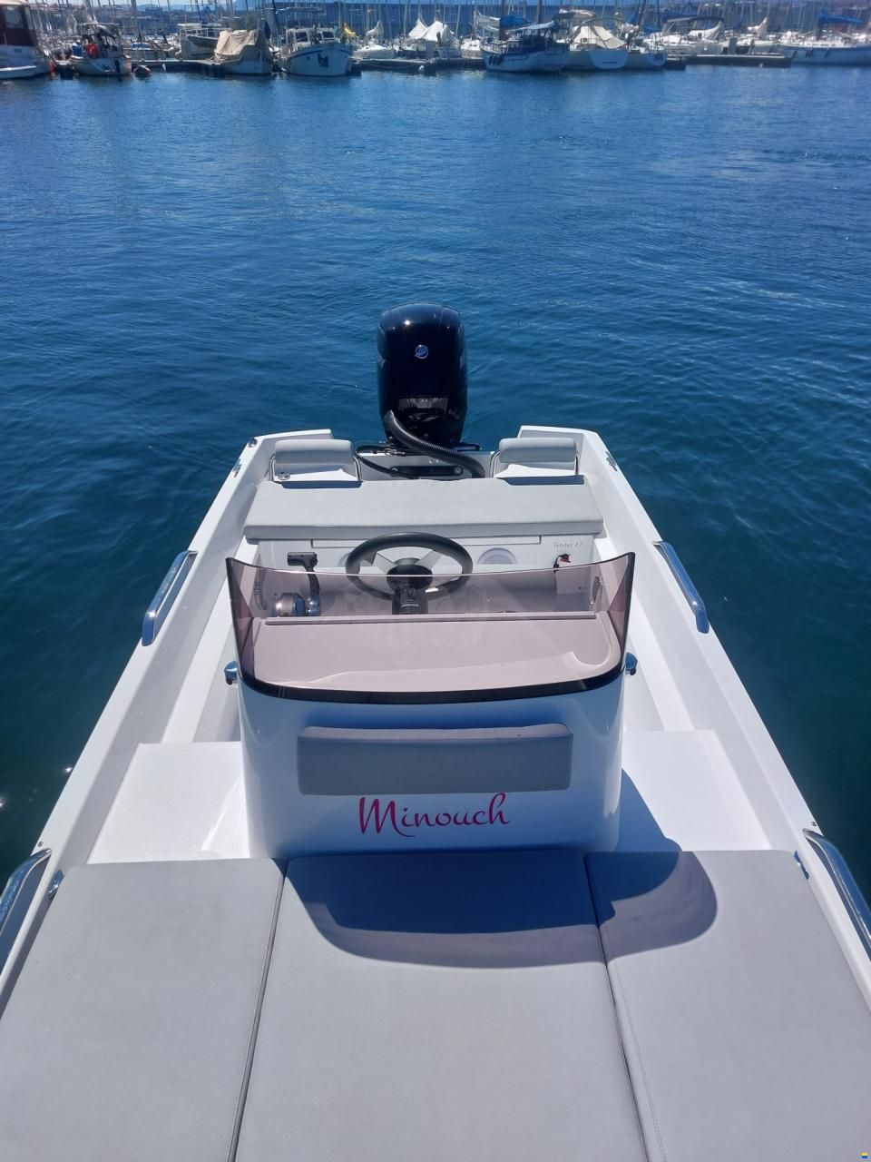 Black Pepper Tender 17