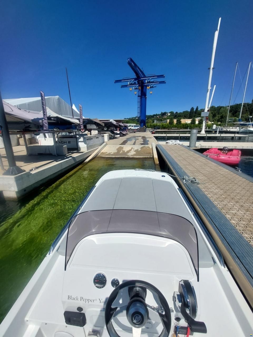 Black Pepper Tender 17