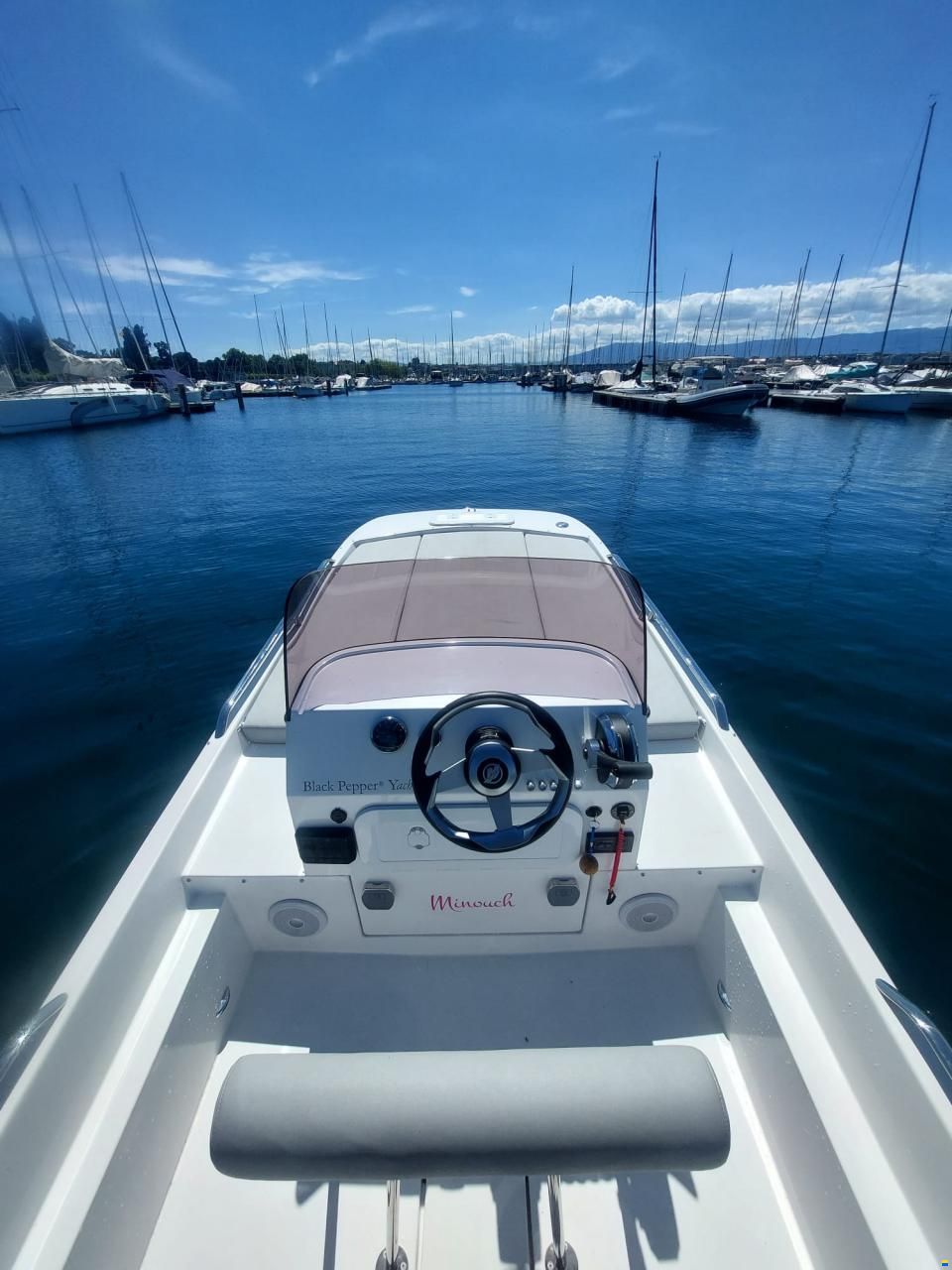 Black Pepper Tender 17