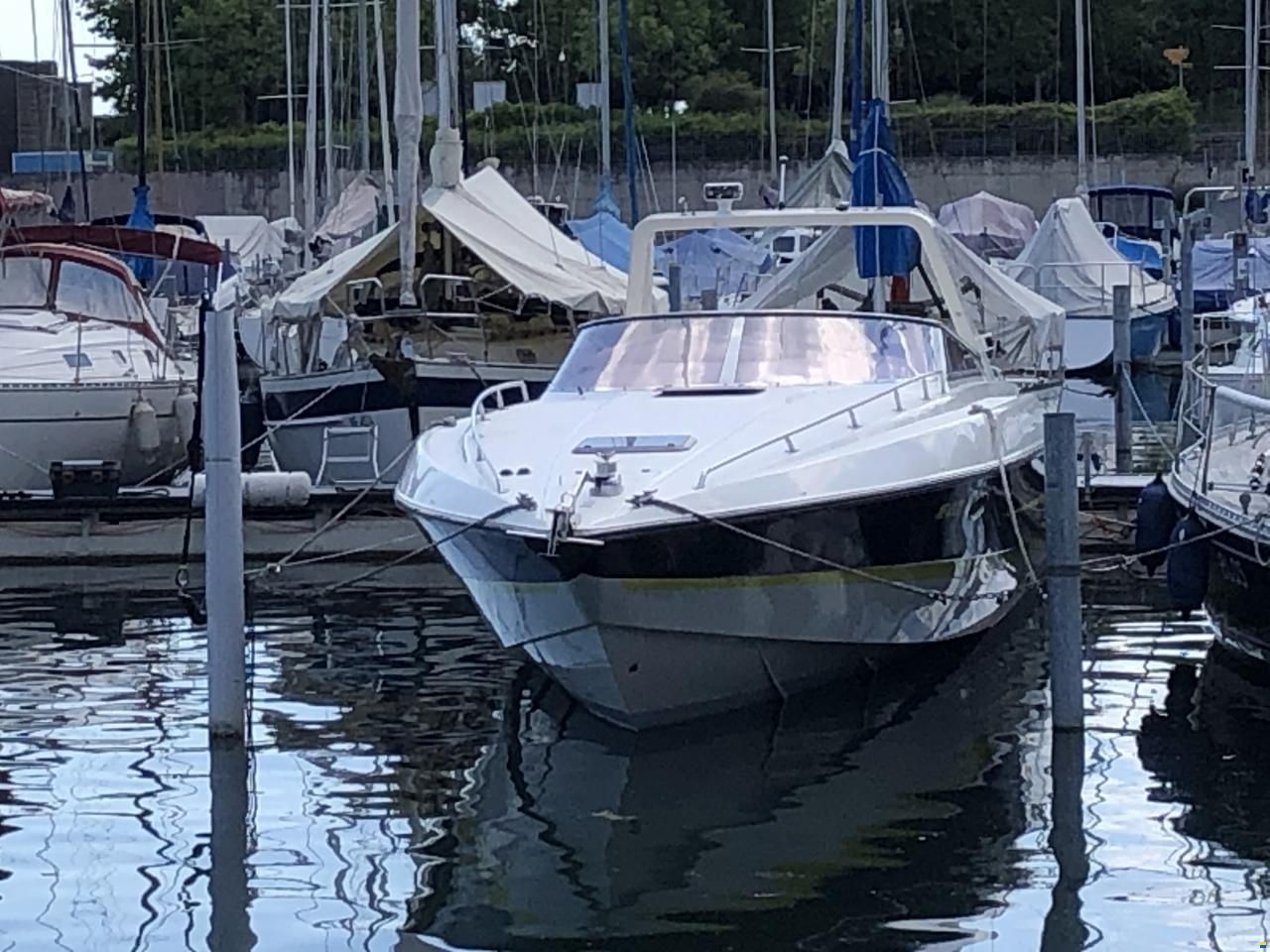 Sunseeker THUNDERHAWK 43