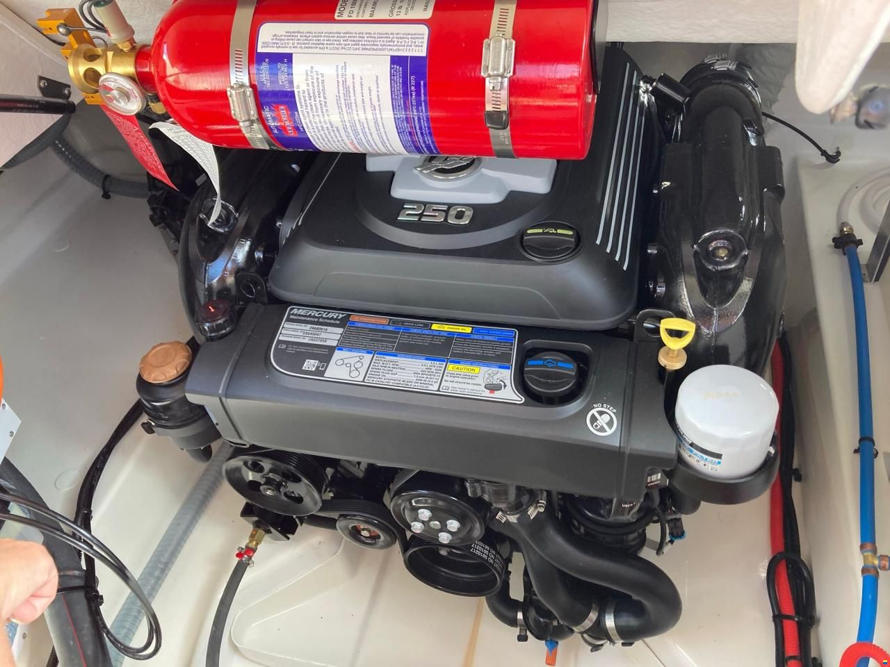 Bayliner VR6 Cuddy cabin