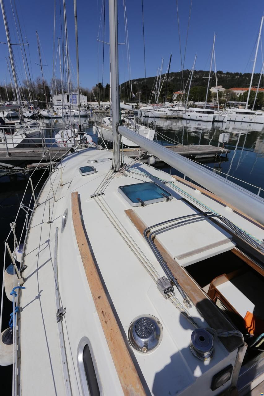 Tica 29 Feet