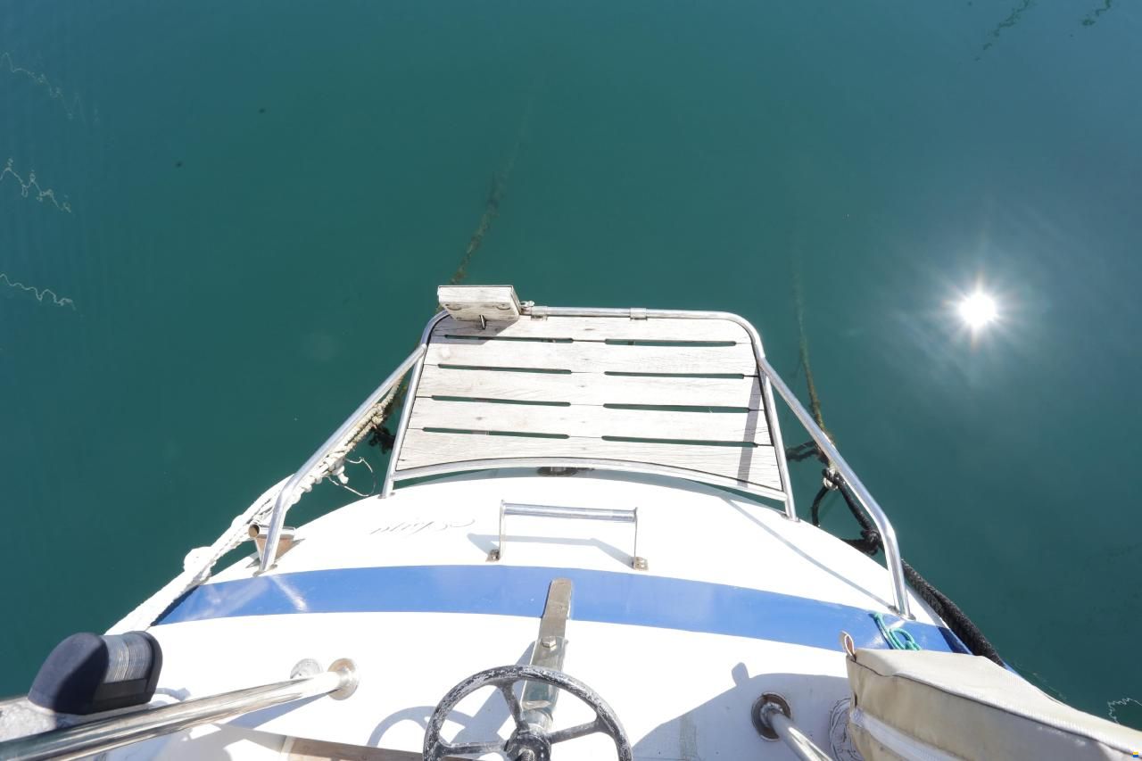 Tica 29 Feet