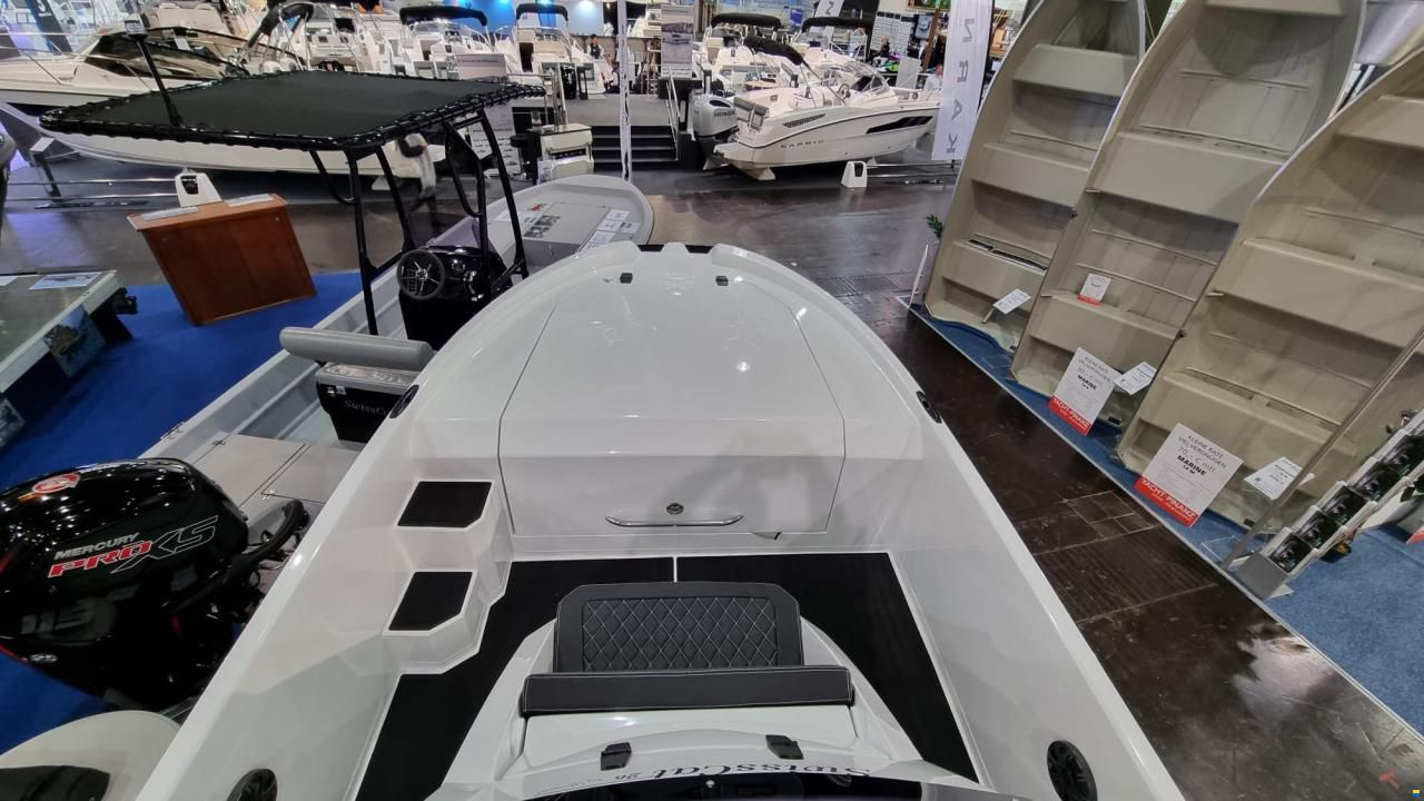 Swiss Cat 26
