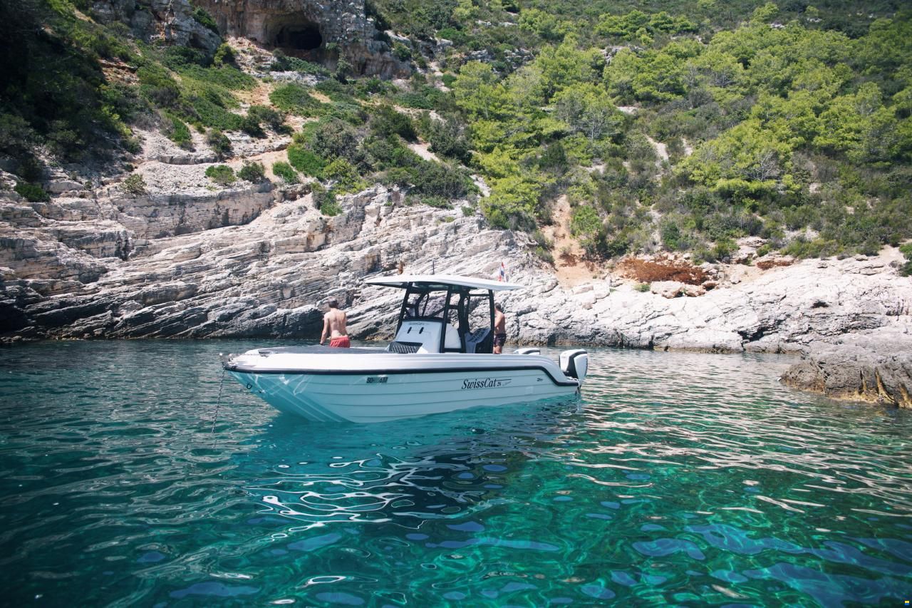 Swiss Cat 26