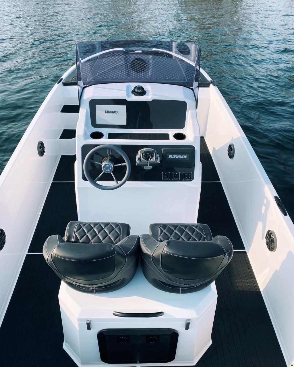 Swiss Cat 26