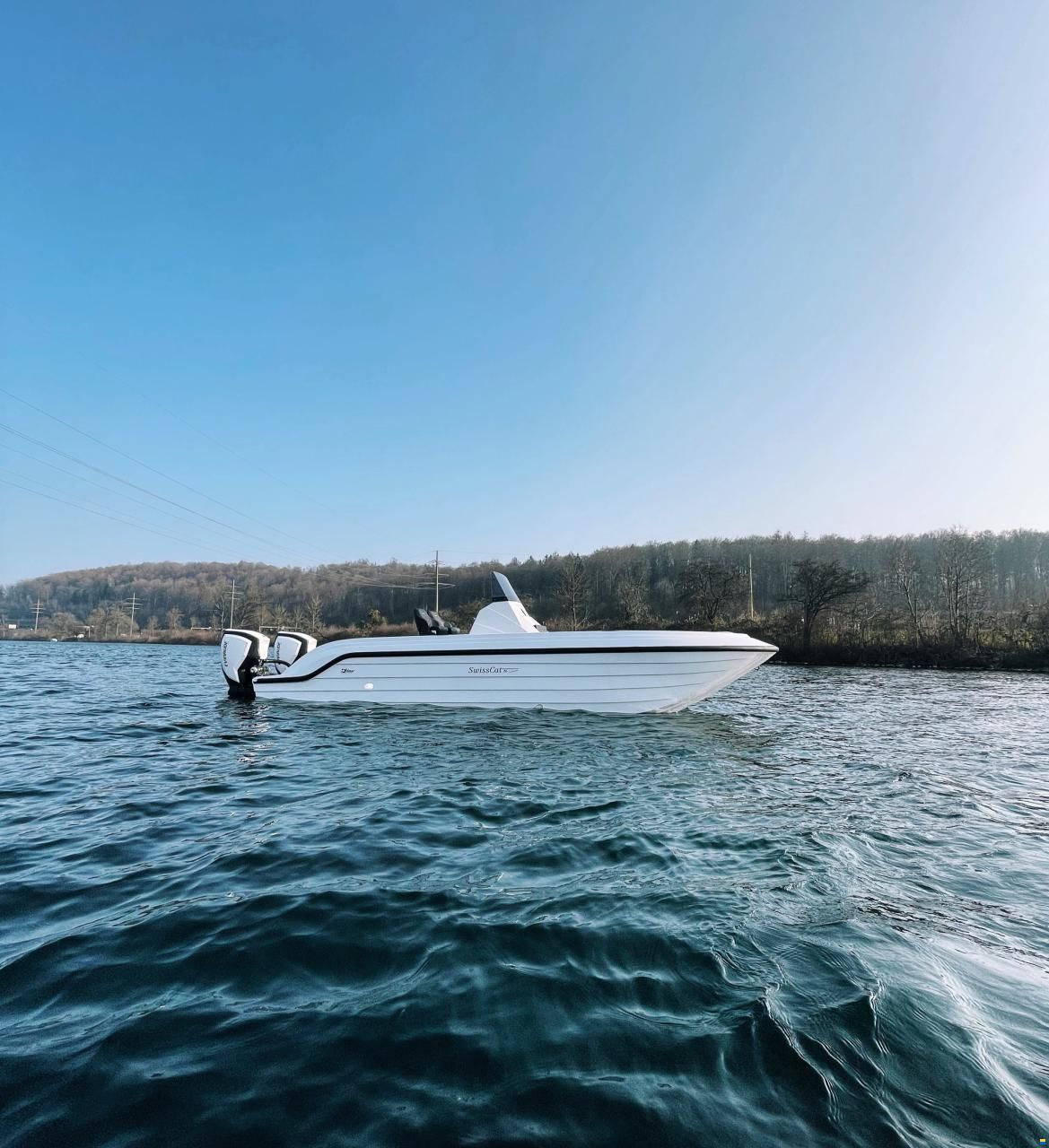 Swiss Cat 26