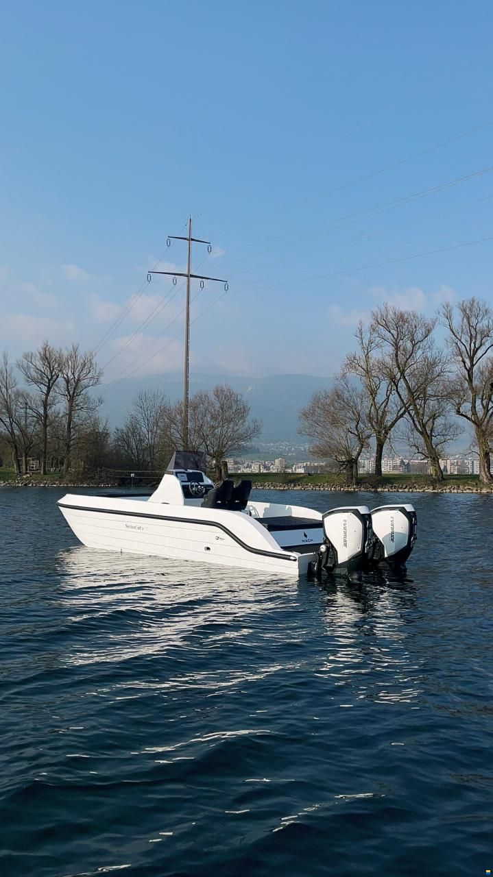 Swiss Cat 26