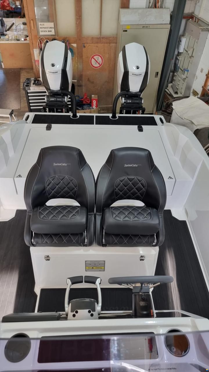 Swiss Cat 26