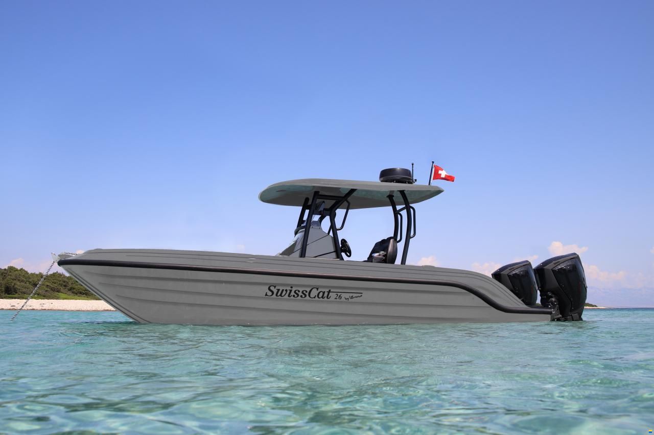 Swiss Cat 26