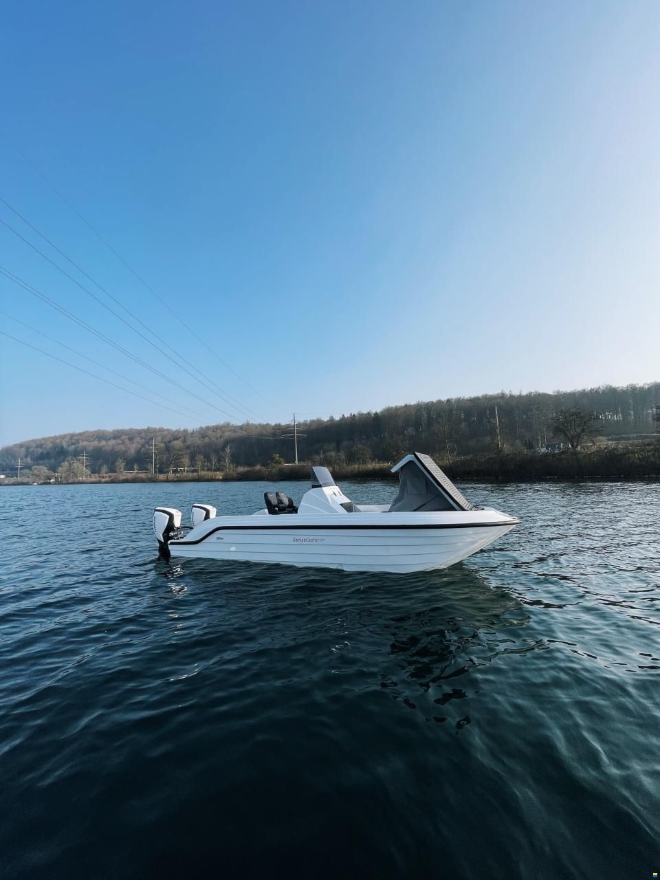 Swiss Cat 26