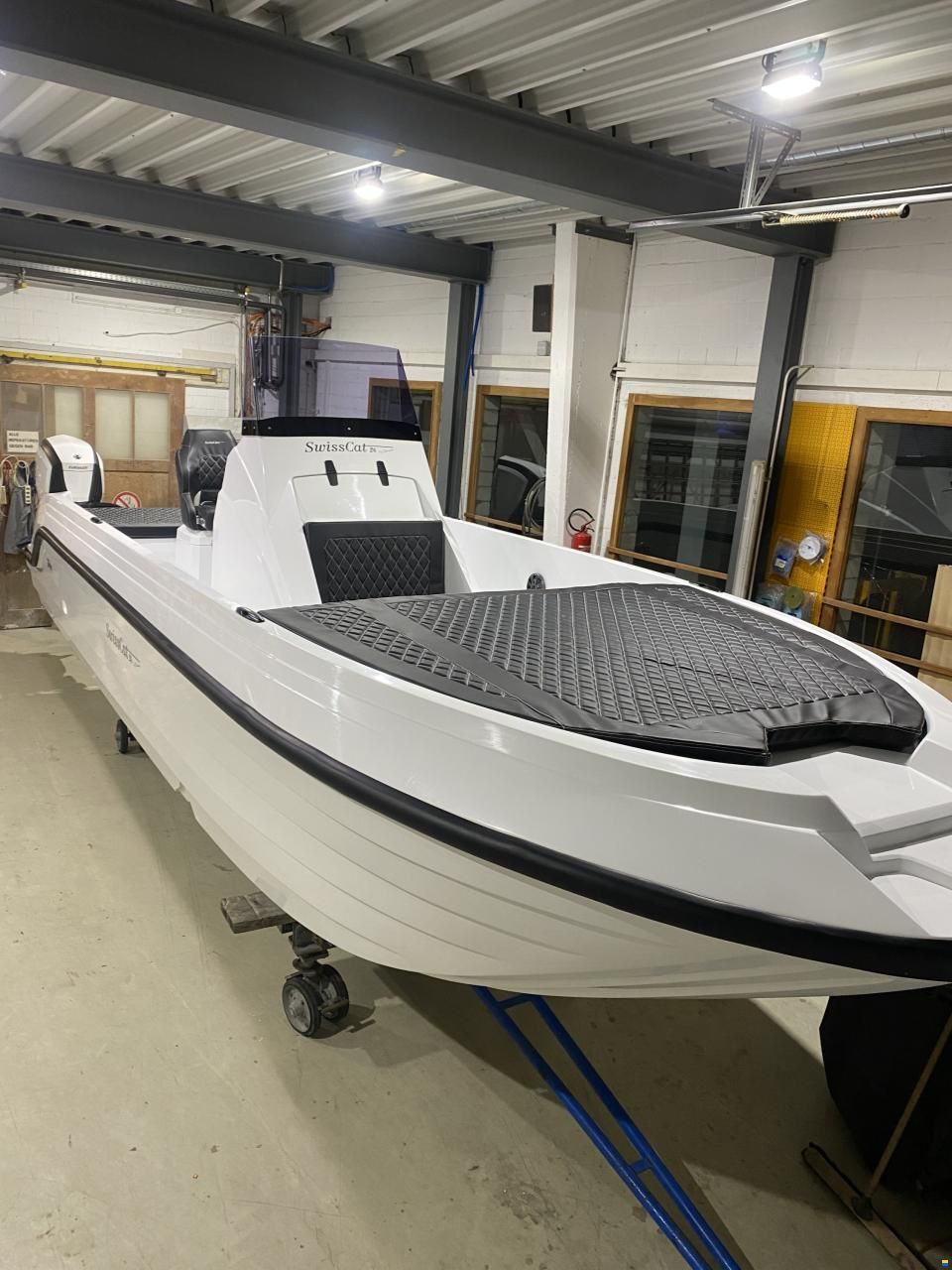 Swiss Cat 26
