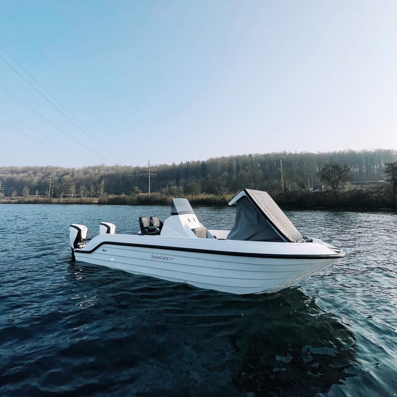 Swiss Cat 26