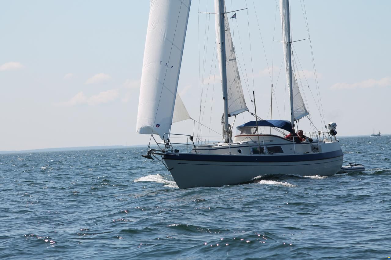 Compass 31