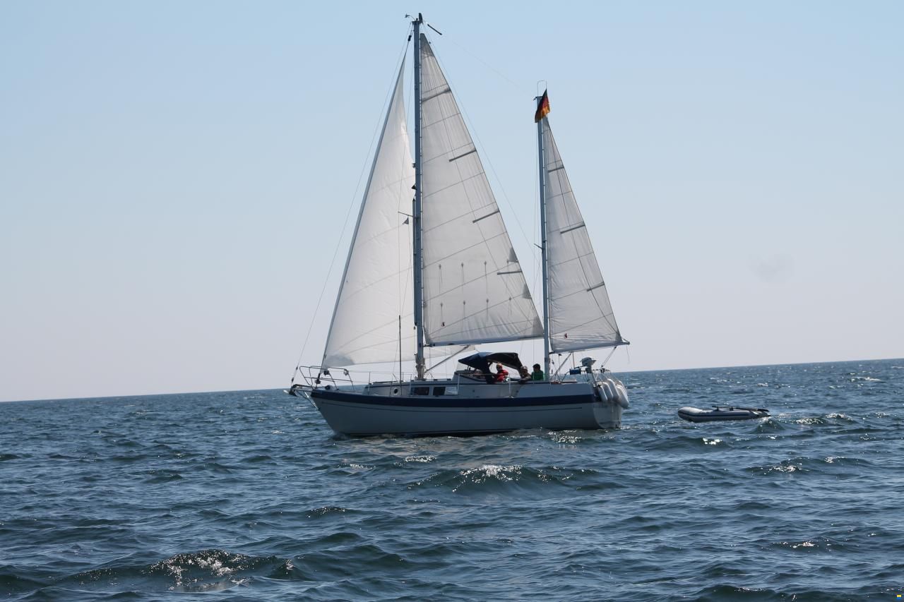 Compass 31