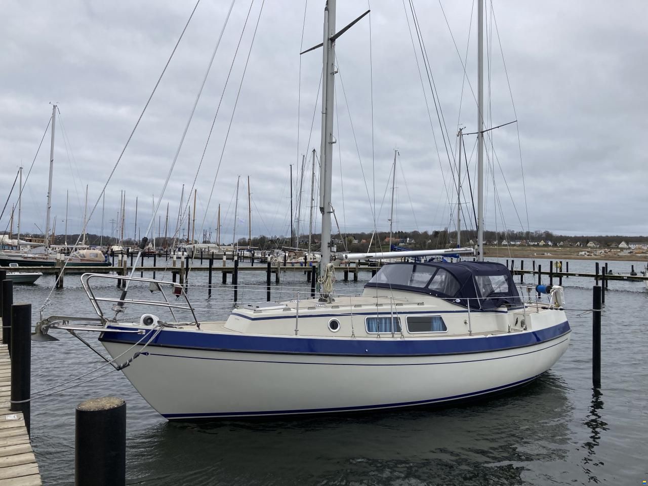 Compass 31