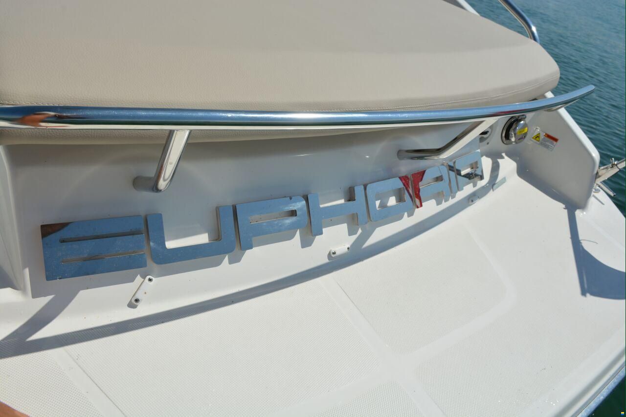 Cranchi Endurance 30