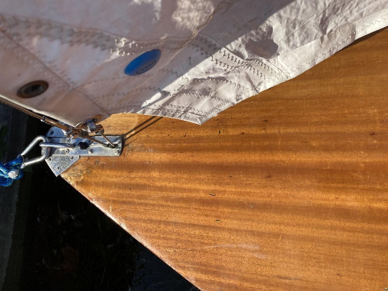 Schwertzugvogel