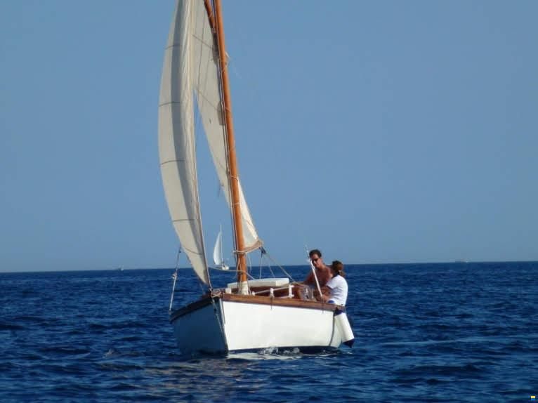 Passera Istriana