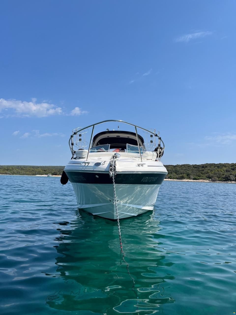 Sea Ray 315 Da