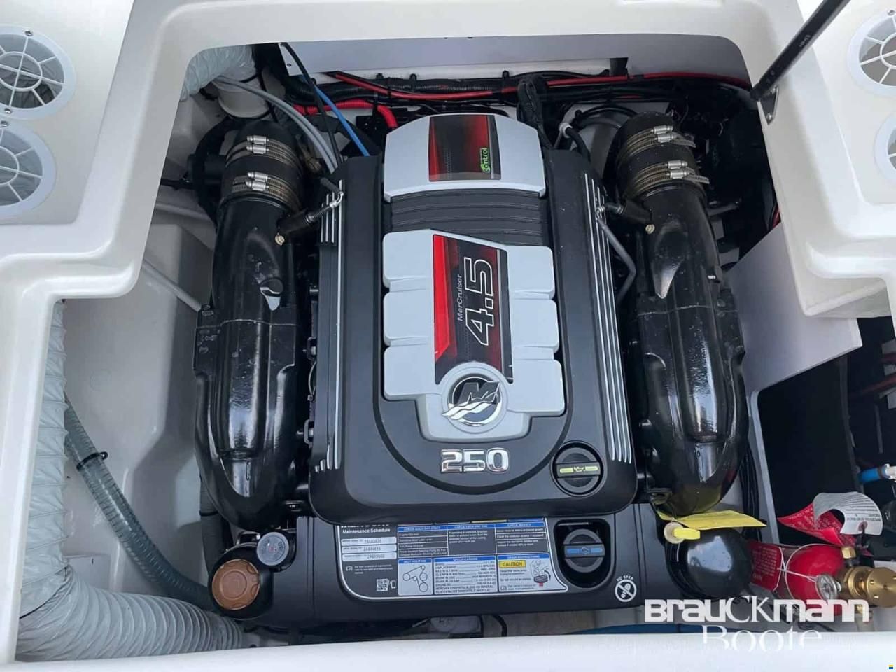 Sea Ray 190 SPX WBT