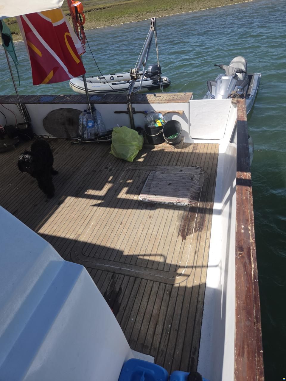 turbocat 41