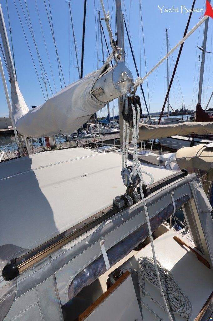 Compass 31