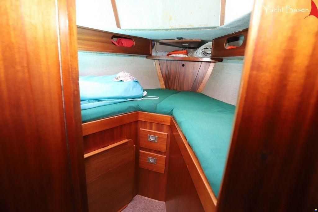 Compass 31