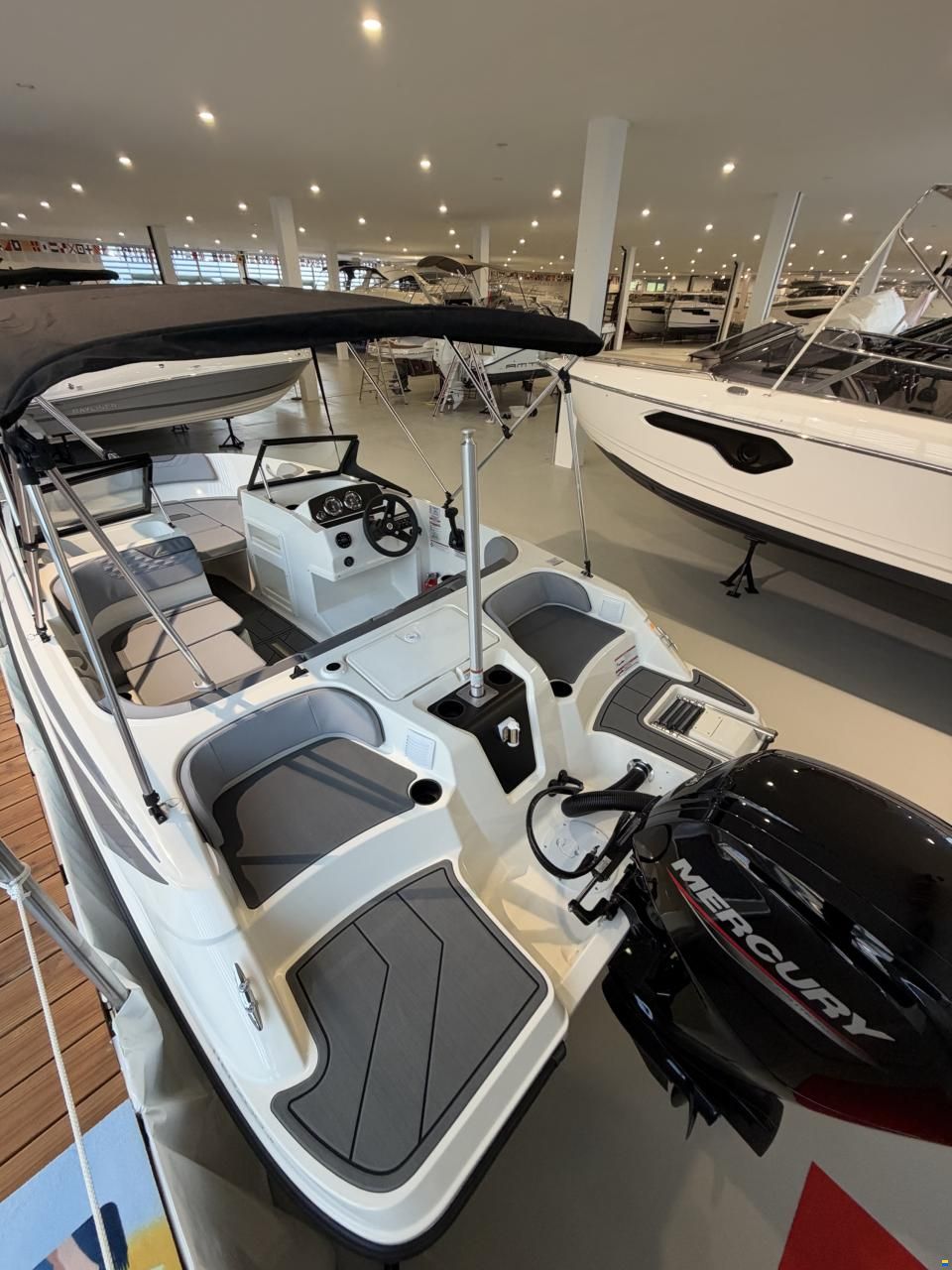 Bayliner Element M17