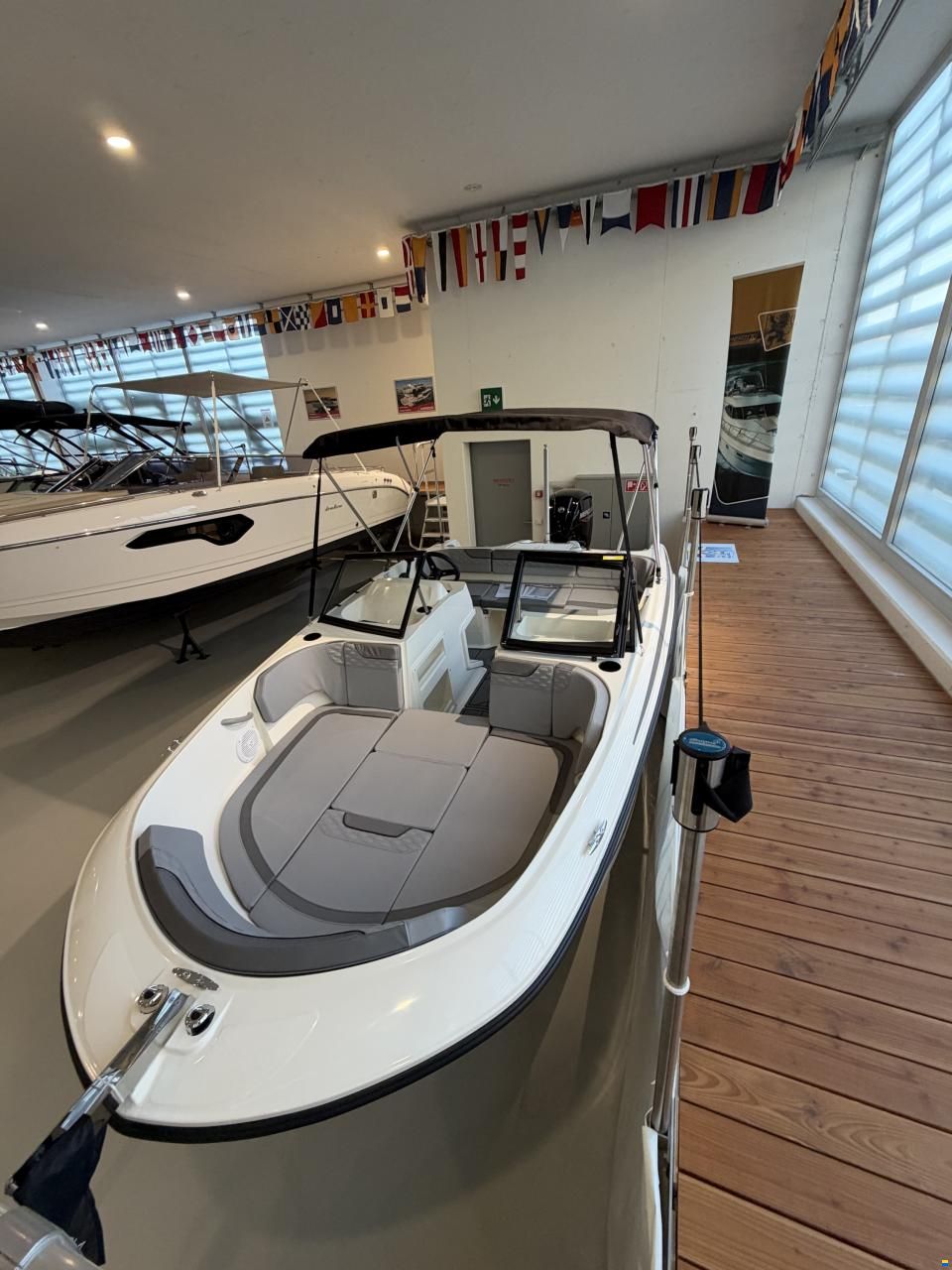 Bayliner Element M17