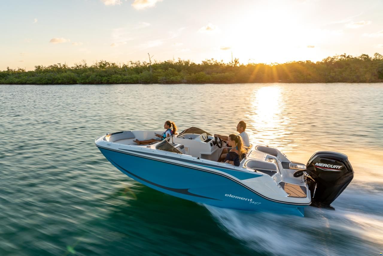 Bayliner Element M17