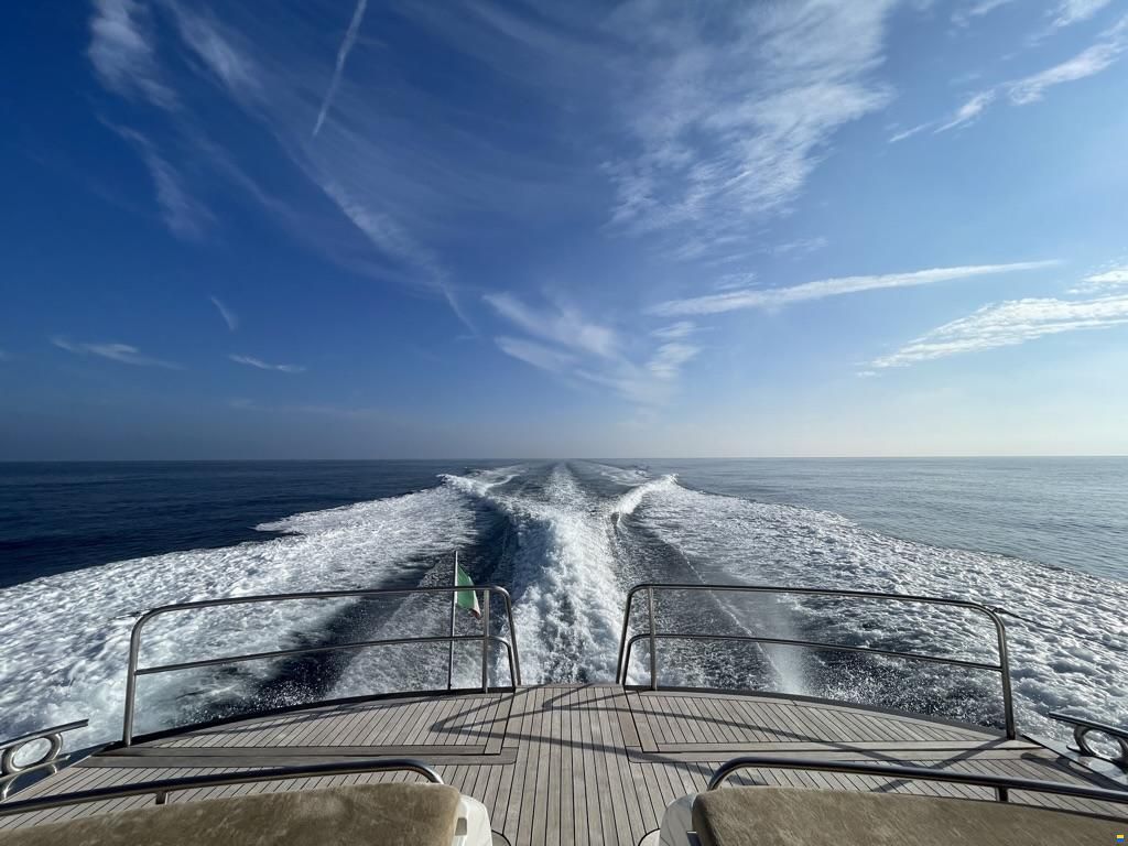 Princess v65