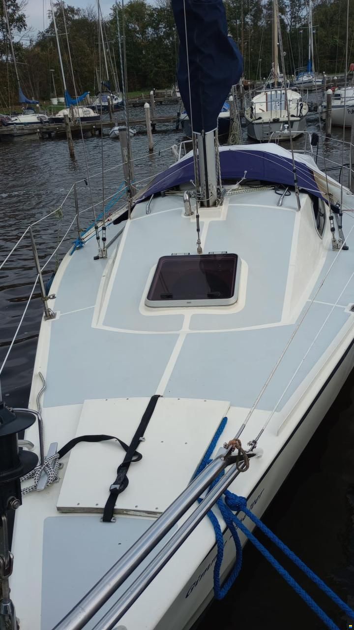Van de Stadt Vita 30