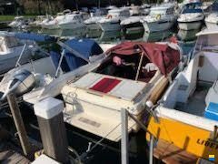 Sea Ray 210 CC SXL