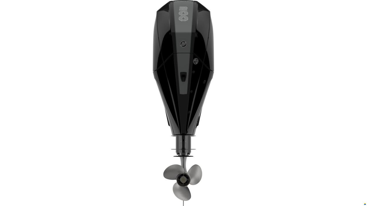 Mercury 200 hk EXLPT